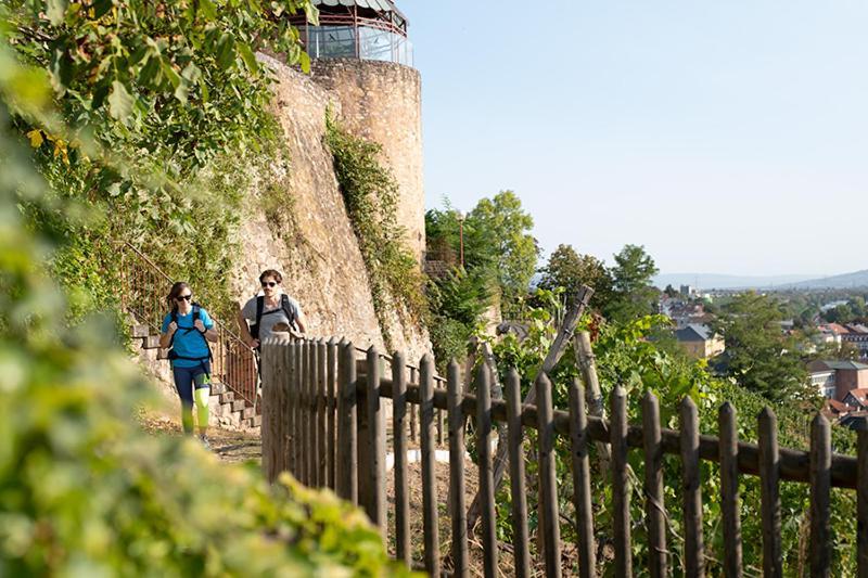 Landhotel Kauzenberg Бад Кройцнах Екстериор снимка